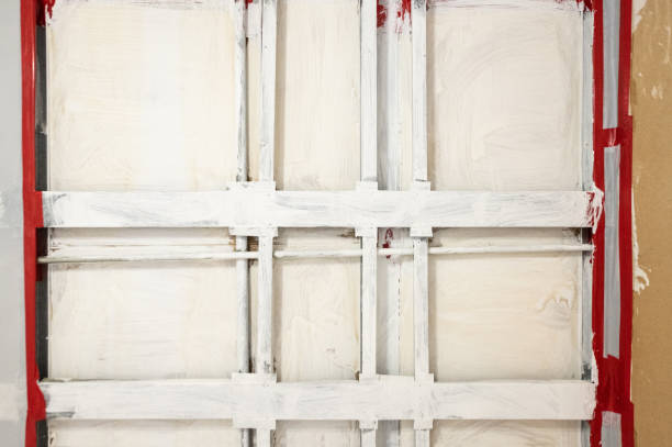 Mold Remediation for Rental Properties in Plain City, UT